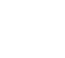 CFAIE logo web footer