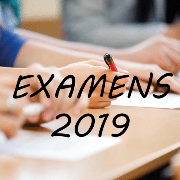 EXAMENS FIN D ANNEE_Plan de travail 1